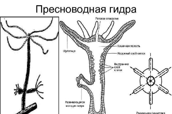 Кракен макет даркнет только через тор